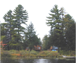 AppleMark