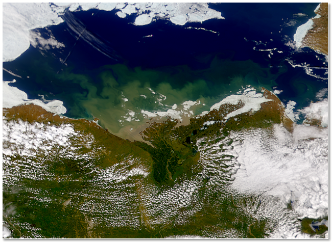 Mackenzie River Sediment Plume.png
