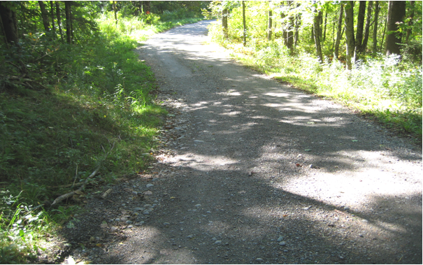 academics:BIOL:BI493:BI493_STU_GRP:Field Pictures:RoadGp3Photos:RoadSurvey9_15_08 002.jpg