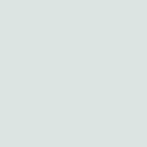 Light Blue Gray