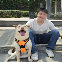 A smiling young man sits next to a joyful dog wearing an orange harness outdoors on a sunny day.