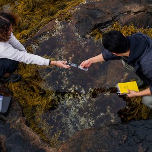 Two individuals in casual clothing exchanging items over rocky terrain with seaweed and a tidal pool.