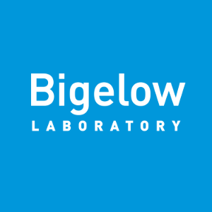 Bigelow logo