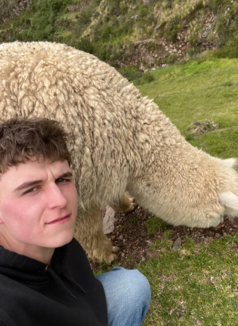 A young person kneels beside a large, fluffy animal on a grassy hillside. The animal is grazing in the background.