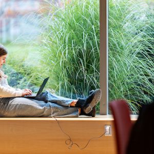 Young woman sitting by a window on a ledge with a laptop, surrounded by greenery, focused on her work.