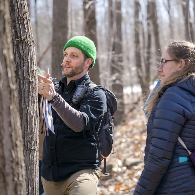 People in forest