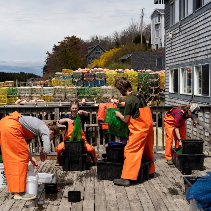 People on pier