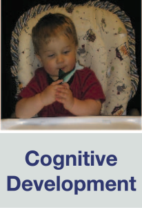 A picture of a baby/toddler with text below saying ‘Cognitive Development’