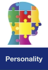 Graphic of a human head composed of colorful puzzle pieces with text below saying, 'Personality'